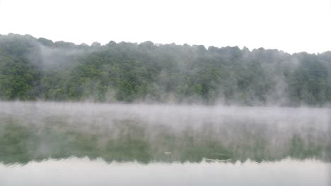 fog over the forest with the river beautiful morning landscape fog over the forest with the river beautiful morning landscape forest river flows in the fog