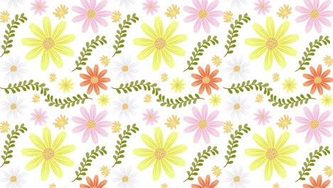 flores coloridas en transición en diversos fondos