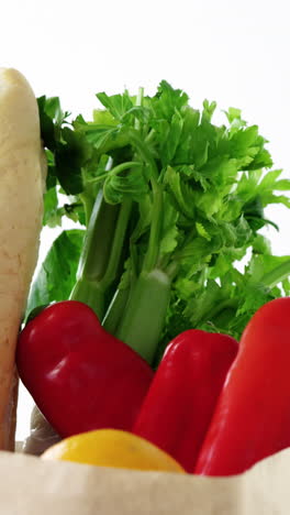 fresh vegetables in shopping bag