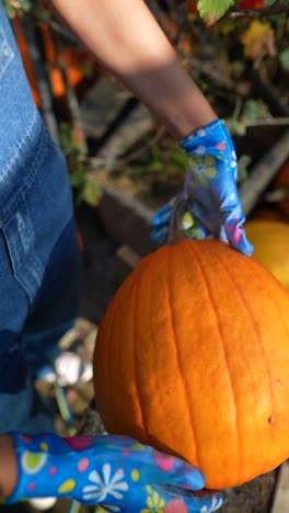 una mujer recogiendo una calabaza.