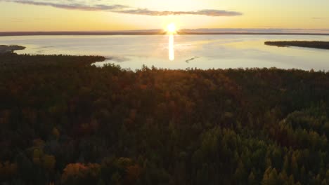 aerial, forest in autumn with sunset over lake in the background