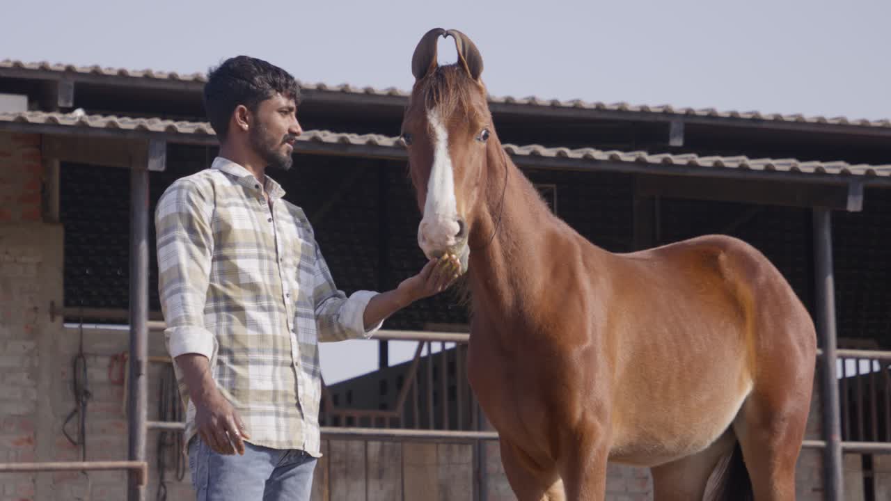 A slow-motion of South Asian man feeding a horse from his hand on a sunny day with rural building behind them