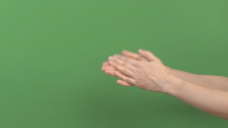 applause. woman clapping hands, applauding on green screen chroma key background. 4k video