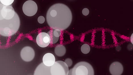 dna strand and bokeh lights animation on dark background