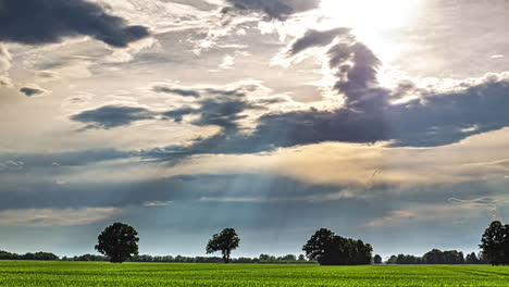 Lapso-De-Tiempo-Paisaje-Rural-Verde-Pradera-Luz-Del-Día-Horizonte-Movimiento-Rayos-De-Sol-A-Través