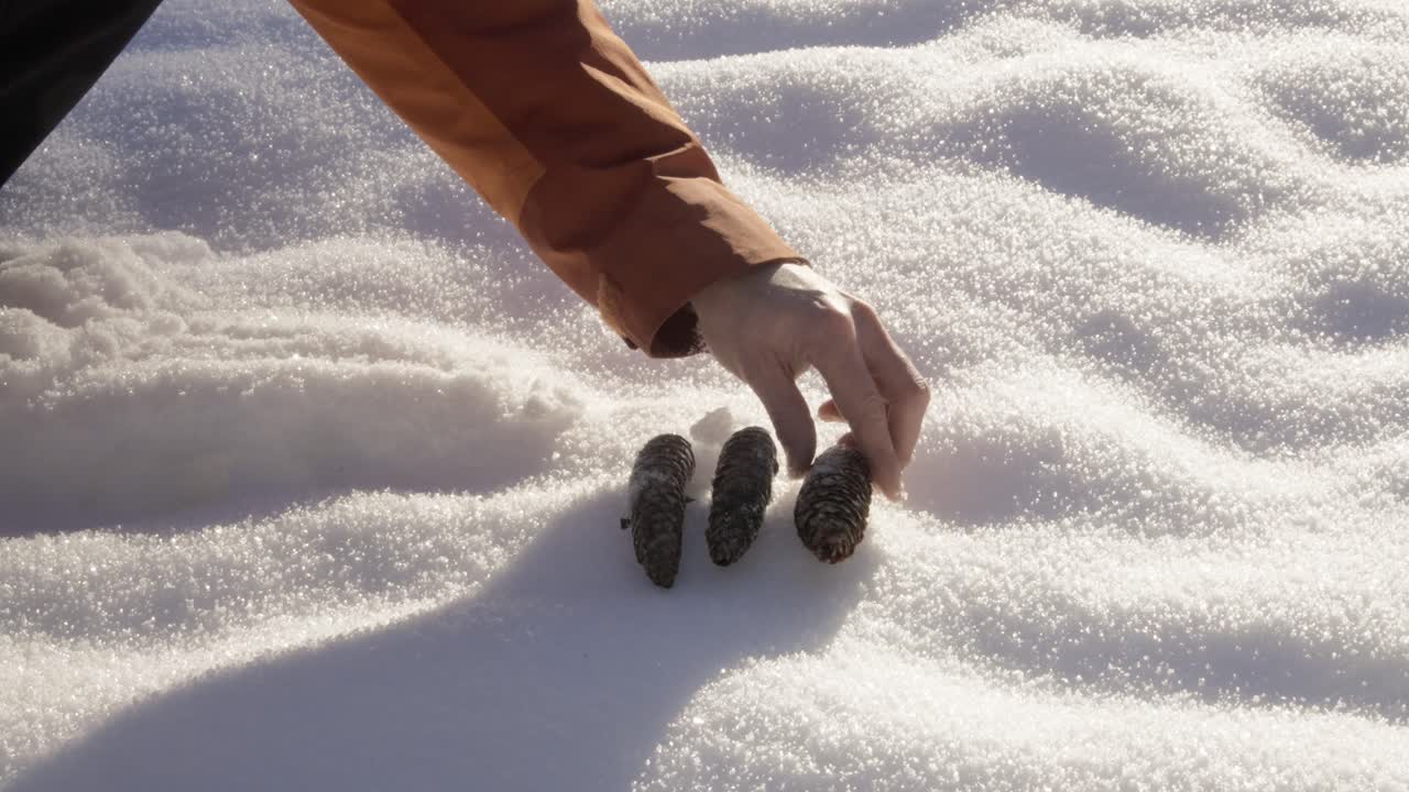 Person's Hands Stacking Pinecones on Snow During the Day Outdoors
