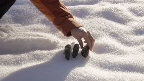 person's hands stacking pinecones on snow during the day outdoors