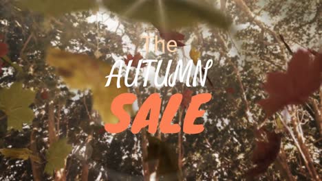 Digitally-generated-video-of-autumn-sale-4k