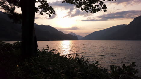 Puesta-De-Sol-En-El-Lago-Suizo-Walensee-Con-árboles-En-Primer-Plano,-Montañas-Suizas-En-El-Fondo,-Llenas-De-La-Cálida-Luz-Del-Sol-Poniente