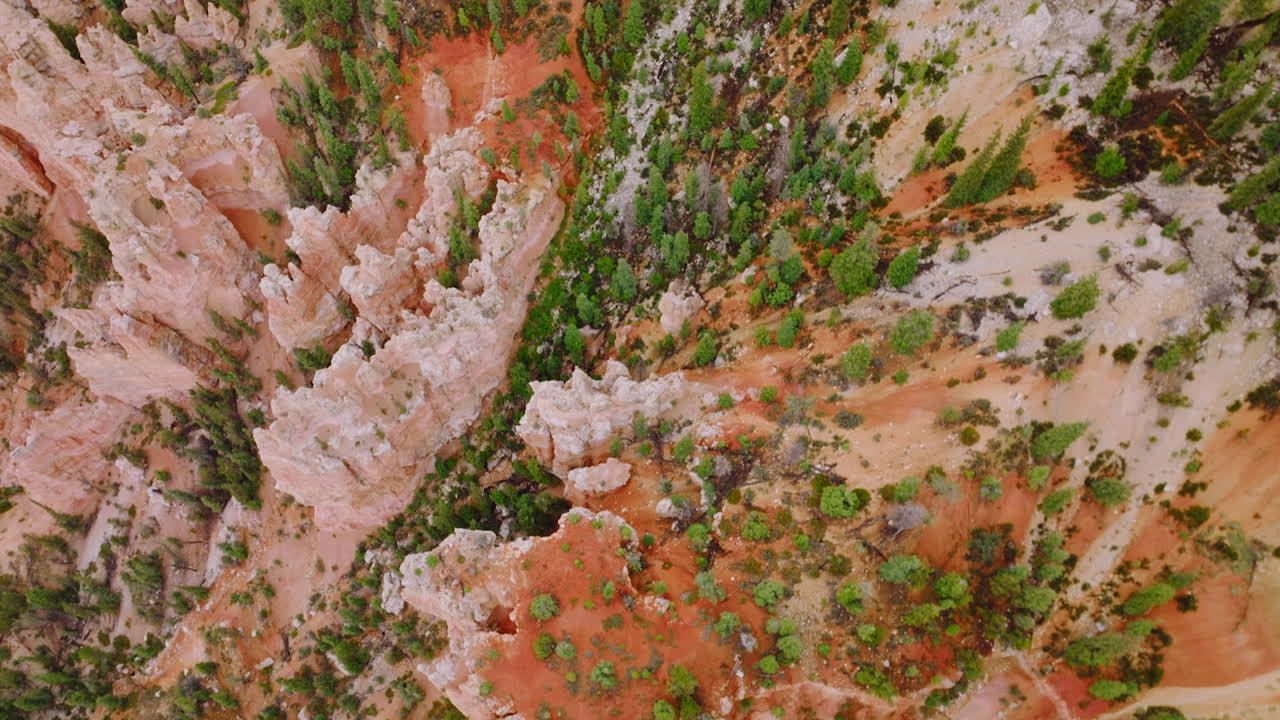 Pine trees growing on the cliffs of sharp-topped rocks of Bryce Canyon. Beautiful coral rocks from bird's eye view.