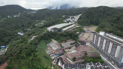 vista general del paisaje del distrito de brinchang dentro del área de cameron highlands de malasia