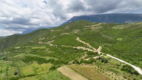 Mountainside-with-forest-and-farming-fields-and-dirt-road-across-the-forest