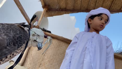 emarati child standing in traditional outfit kandura looking at falcon