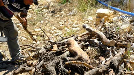 Man-cutting-wood-with-chainsaw-countryside