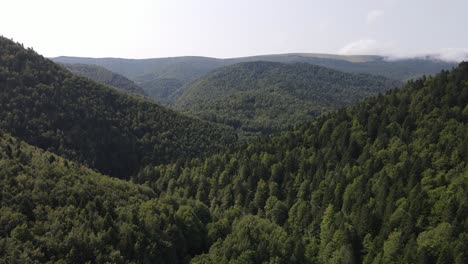 widok z drona na góry w hiszpanii pokryte lasem, lasem sosnowym - dolly shot