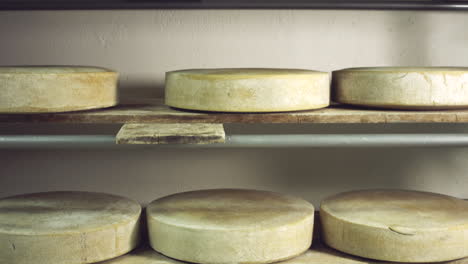 mediano tiro de quesos en la bodega