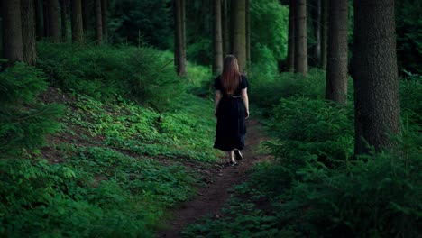 young woman in a long dress and brown long hair walks along a forest path in a dense dark forest