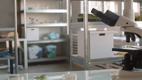 microscope focused on plant samples in a laboratory setting