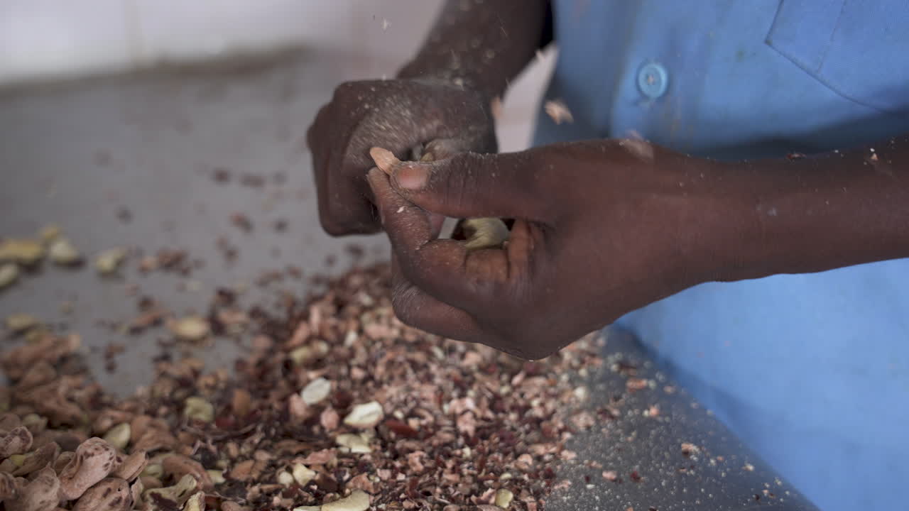 Close up of African woman worker shelling raw cashew nuts at cashew processing factory