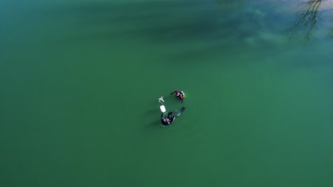 aerial view of two divers swimming in murky water in a lake in southern france in the middle of winter