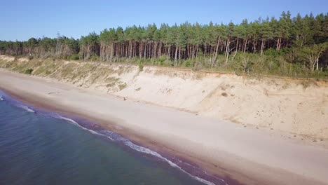 aerial view of baltic sea beach at jurkalne on a sunny day, white sand cliff damaged by waves, coastal erosion, climate changes, wide angle revealing drone shot moving backward