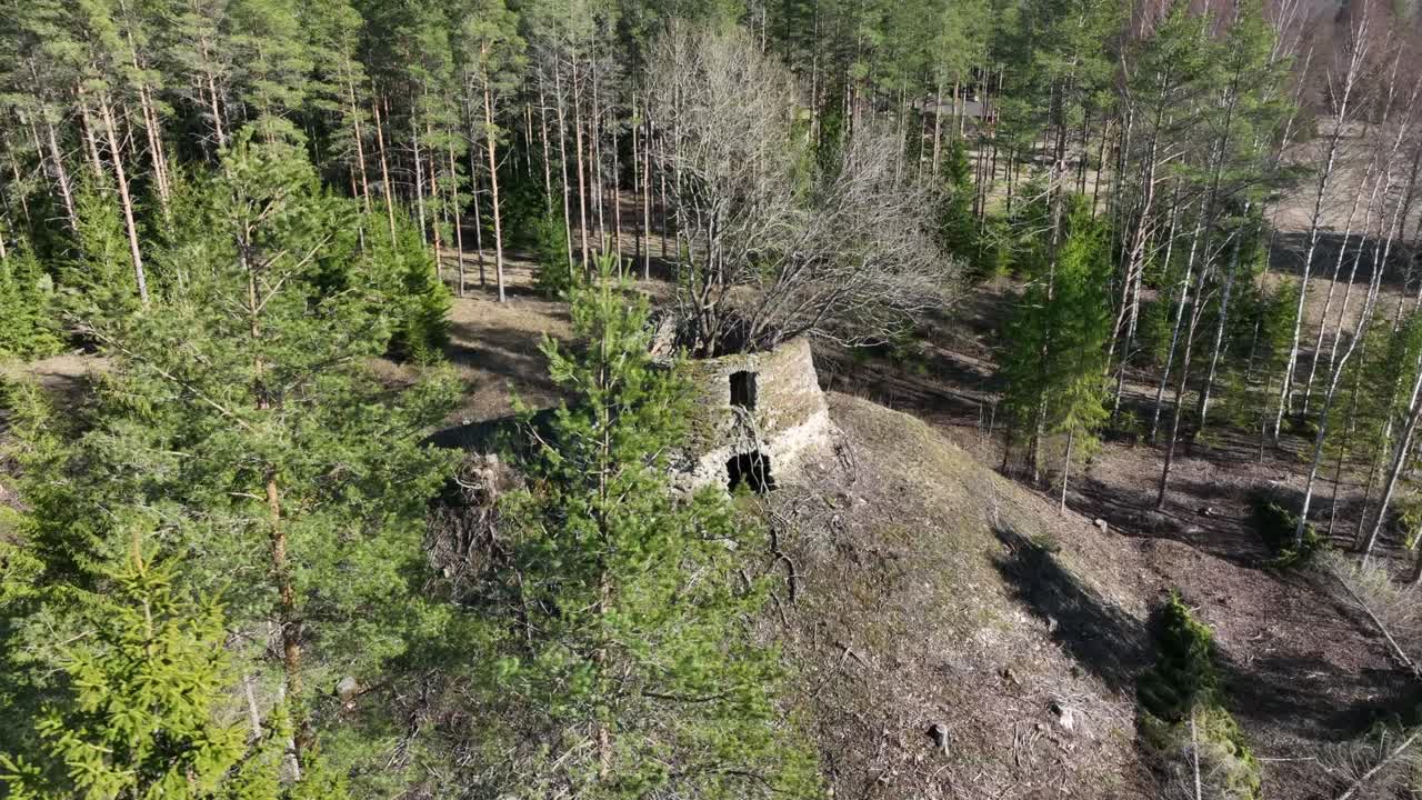 Aerial orbit of old windmill ruins inside which trees have started to grow. Samma village, Estonia.