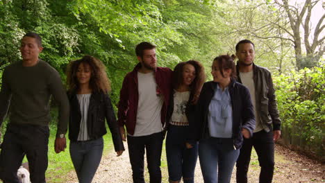 parejas jóvenes hablando mientras caminan en un camino de campo, filmado en r3d