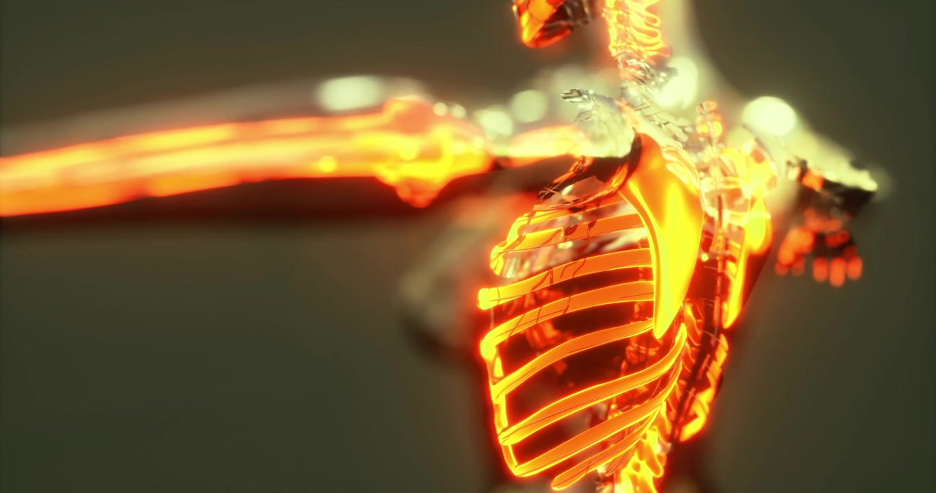 Understanding the human body skeleton with glowing anatomical representation