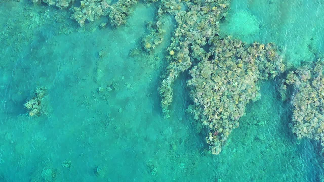 eilat, israel de arriba hacia abajo alejar la vista de drones de arrecifes de coral y aguas cristalinas famosas por el turismo, el buceo y la observación de la vida marina