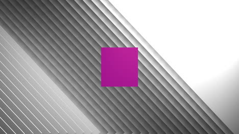 animación de un cubo rosa 3d que gira sobre un fondo blanco en movimiento de negro y gris