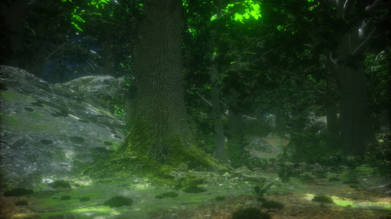 Luminous forest glade captured in the quiet hours of evening light
