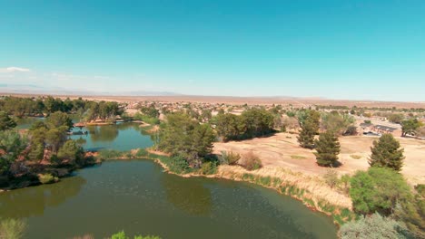 a natural oasis in the foreground with the arid mojave desert beyond - aerial view