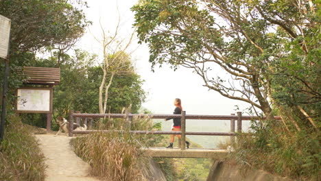 girl and pet dog walking across tze kong bridge in hong kong