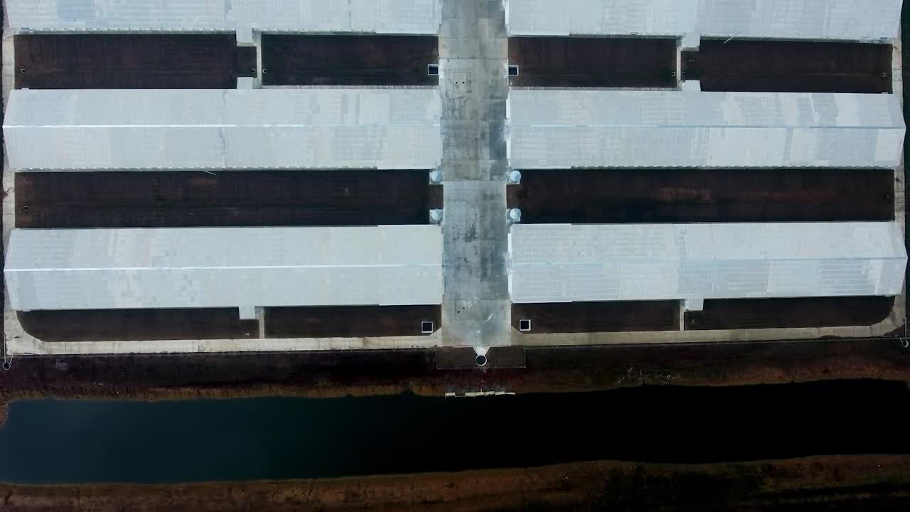 Process of building new agricultural farm in the field. Aerial view on white roofs of the farm.