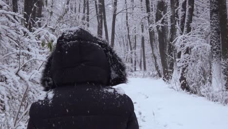 a girl in a warm jacket with a fur hood walks through the forest near the water source - slow-motion dolly shot