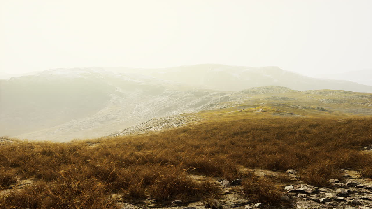 네팔의 밝은 하늘 아래 풀과 모스로  ⁇ 인 돌