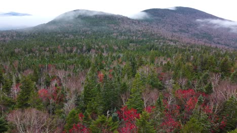 flying like a bird over the vast forests surrounding mount washington in new hampshire