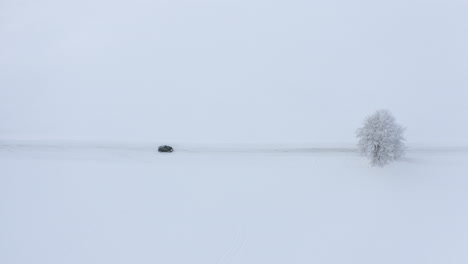 Grafikaufnahme-Mit-Einem-Weißen-Feld-Mit-Einem-Schneebedeckten-Baum-Und-Einer-Straße-In-Der-Mitte,-Auf-Der-Ein-Schwarzes-Auto-Fährt