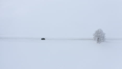 graphic shot with a white field with a snowy tree and a road in the middle where a black car is driving