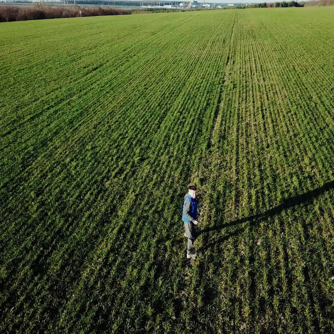 Boy is running on the green field of wheat. Happy kid running on beautiful field Square video