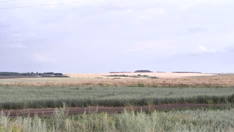 rural landscape with wheat fields and hills