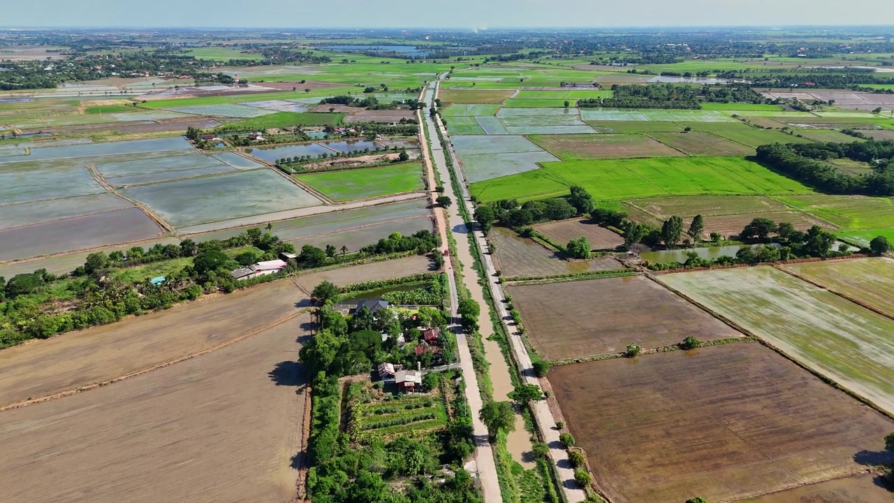 ภาพมุมสูงแบบพาโนรามาของทุ่งนาในพื้นที่อ่างทองของประเทศไทยในวันที่แดดจ้า