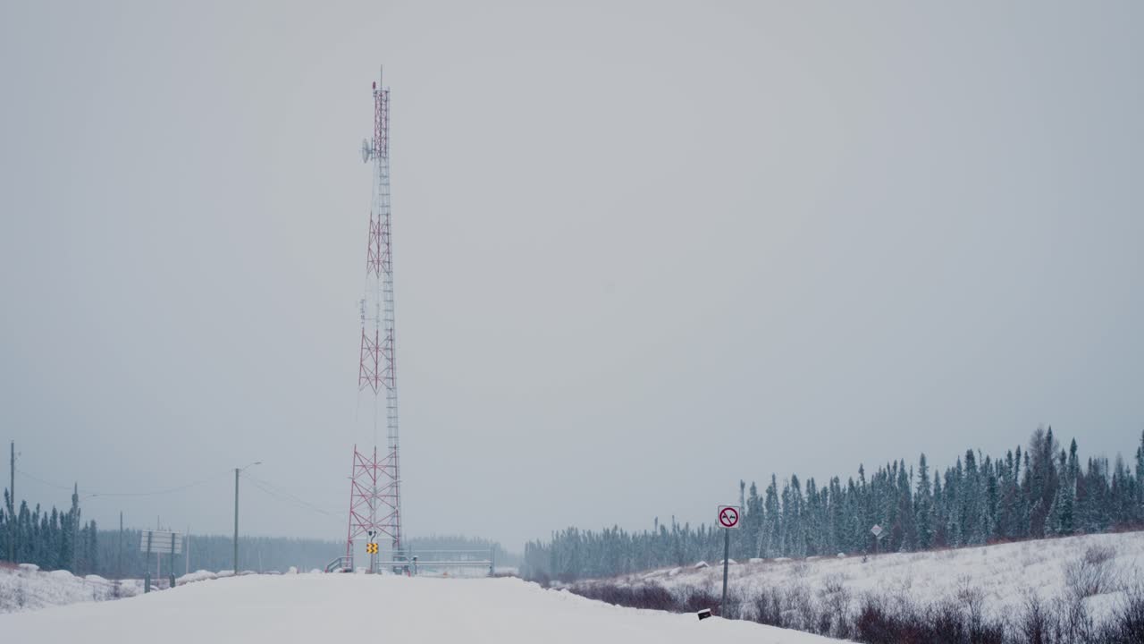 정적 4k 클로즈업 텔레포토 은 숲의 나무 줄 사이에 전기 전력 그리드 라디오 안테나입니다.