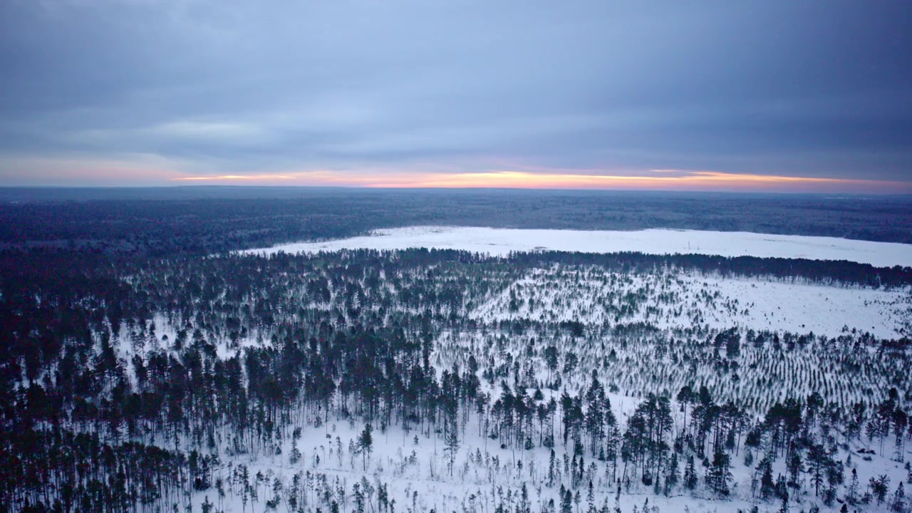 Drone shot gliding above snow-covered evergreens in remote northern Michigan wilderness