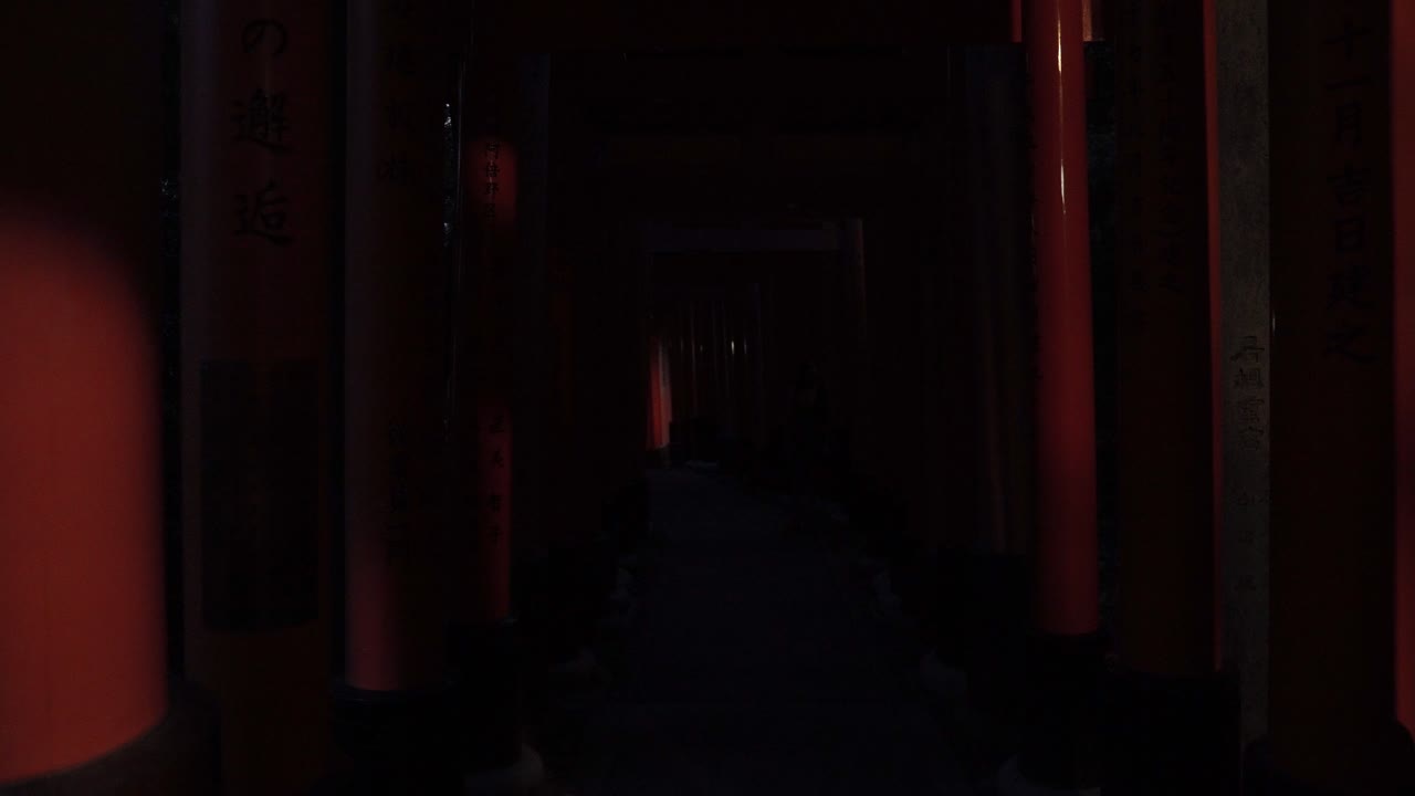 Sentiero misterioso attraverso i cancelli Torii rossi di notte in Giappone