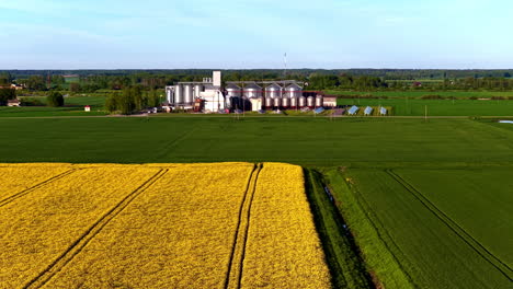 large farm silos with solar panels beside green fields and yellow blooming crops