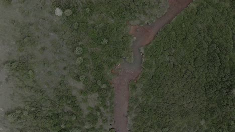top down aerial view of a meandering river with bushes and grass in the rocky mountains of colorado. filmed in the mountains near guanella pass.