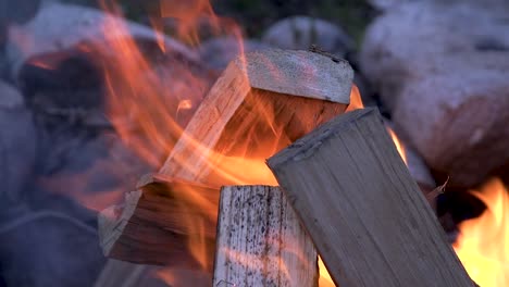 closeup of a campfire burning