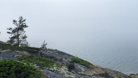 Misty-view-to-sea-with-a-poor-visibility