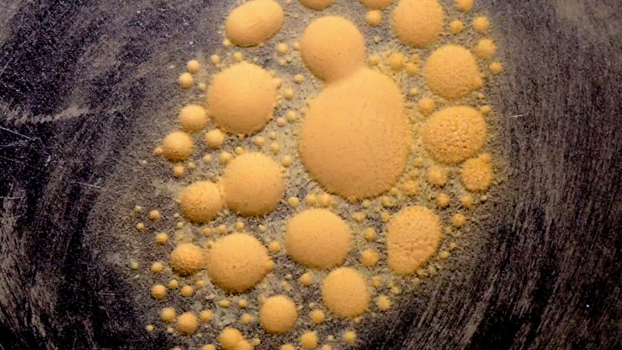 glóbulos similares a células de esporas de lycopodium irradian y explotan con protuberancias puntiagudas